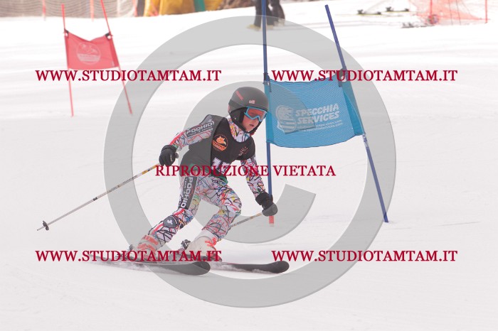 MAT_5166.JPG