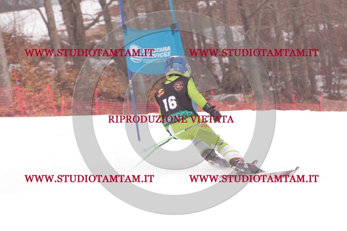 MAT_5178.JPG