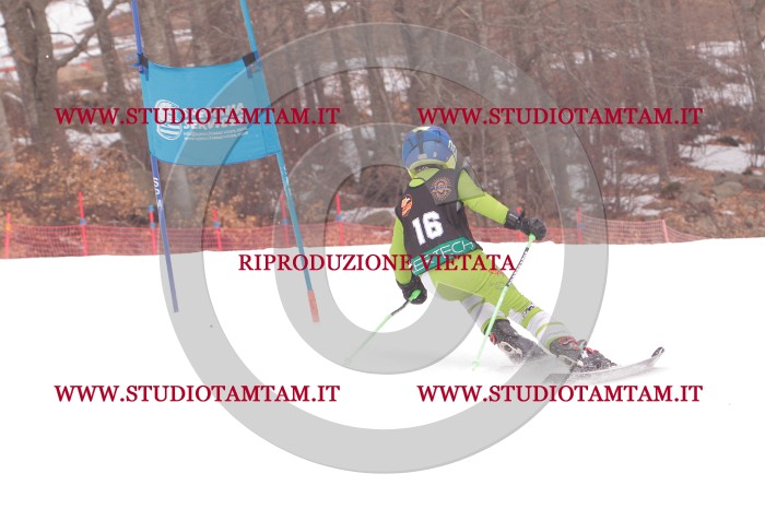 MAT_5179.JPG