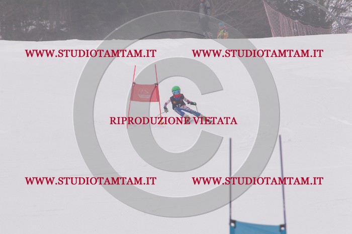 MAT_5180.JPG