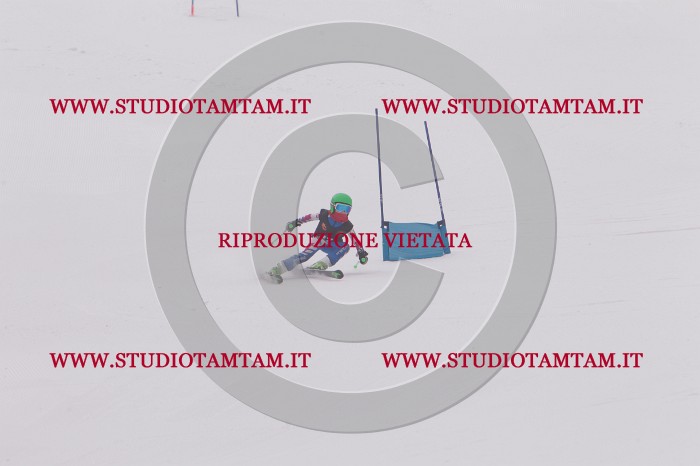 MAT_5182.JPG