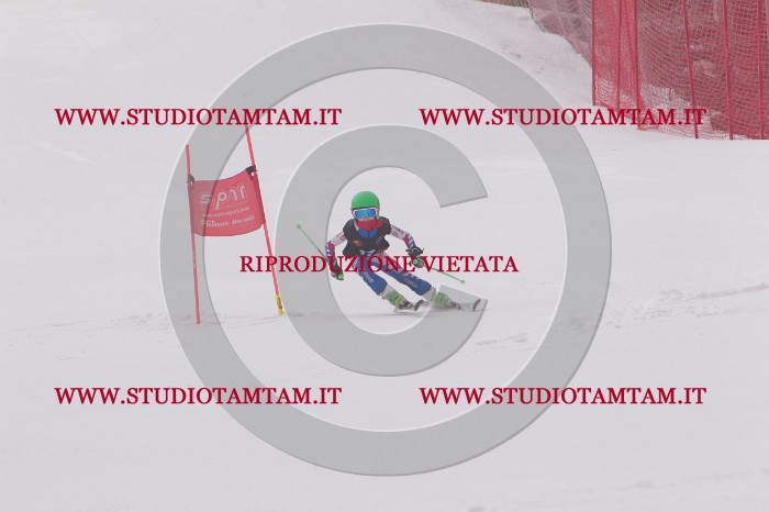MAT_5183.JPG