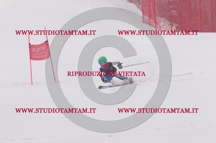 MAT_5184.JPG