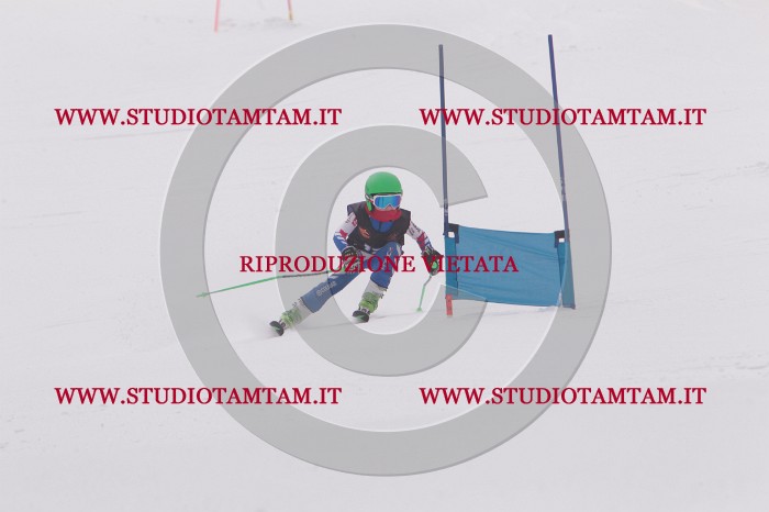 MAT_5185.JPG