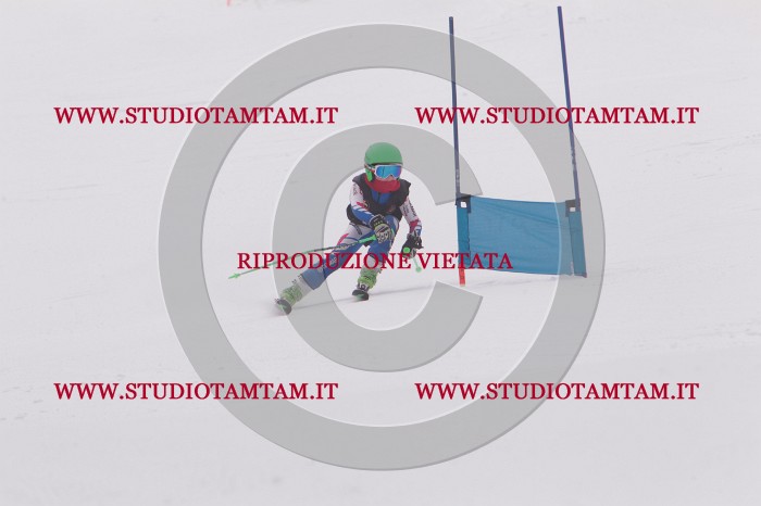MAT_5186.JPG