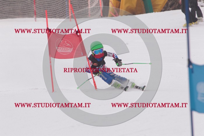 MAT_5187.JPG