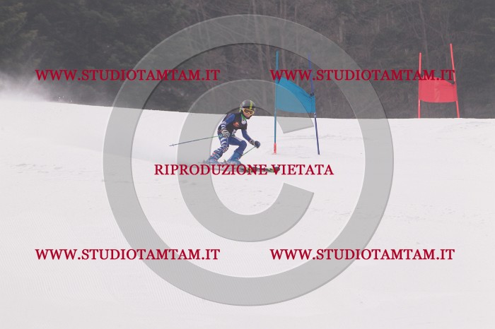 MAT_5201.JPG