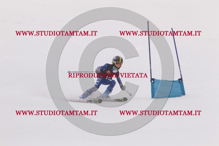MAT_5203.JPG