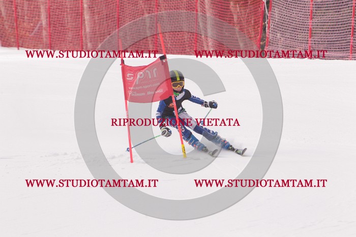 MAT_5204.JPG