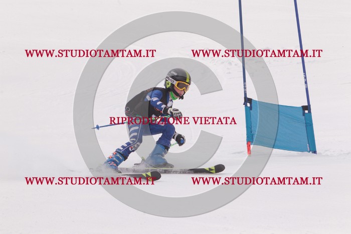 MAT_5206.JPG