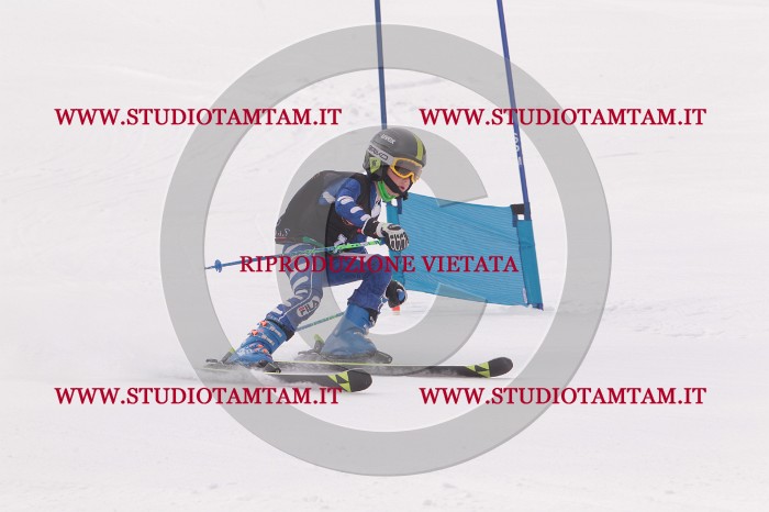 MAT_5207.JPG