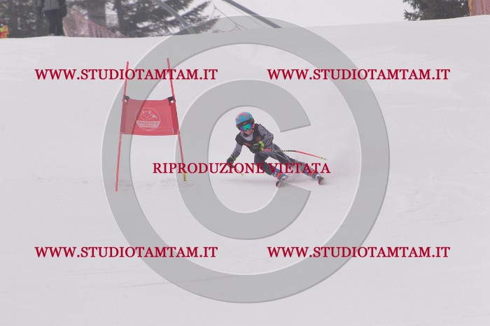 MAT_5213.JPG