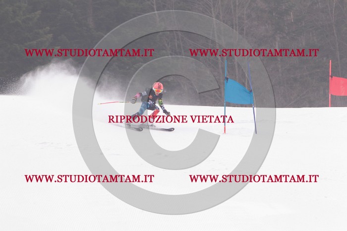 MAT_5220.JPG