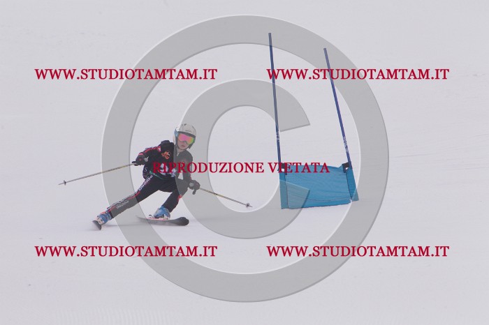 MAT_5259.JPG