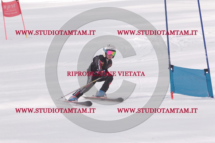 MAT_5262.JPG