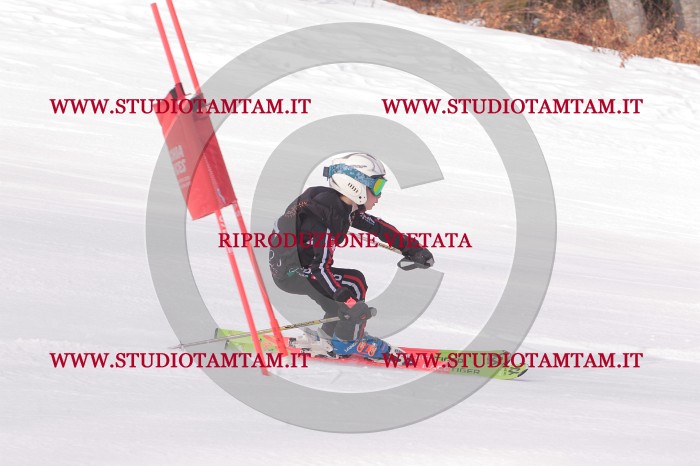 MAT_5264.JPG