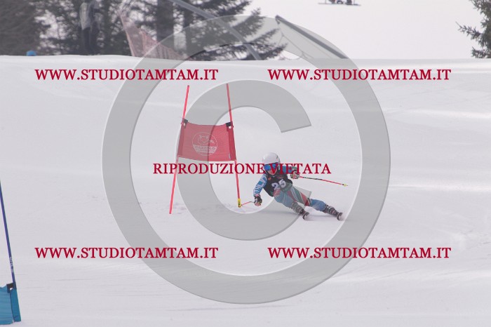 MAT_5267.JPG