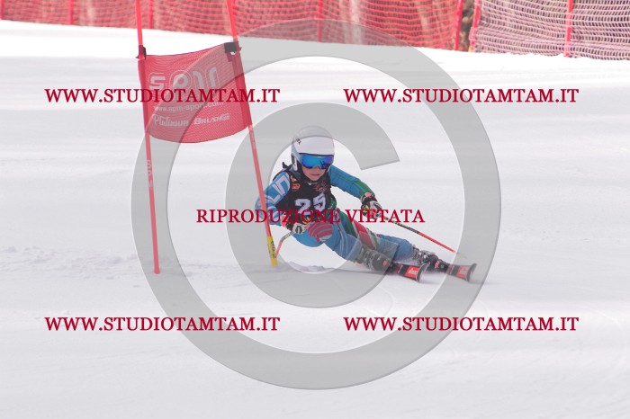 MAT_5272.JPG