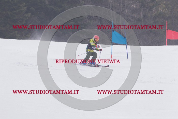 MAT_5279.JPG