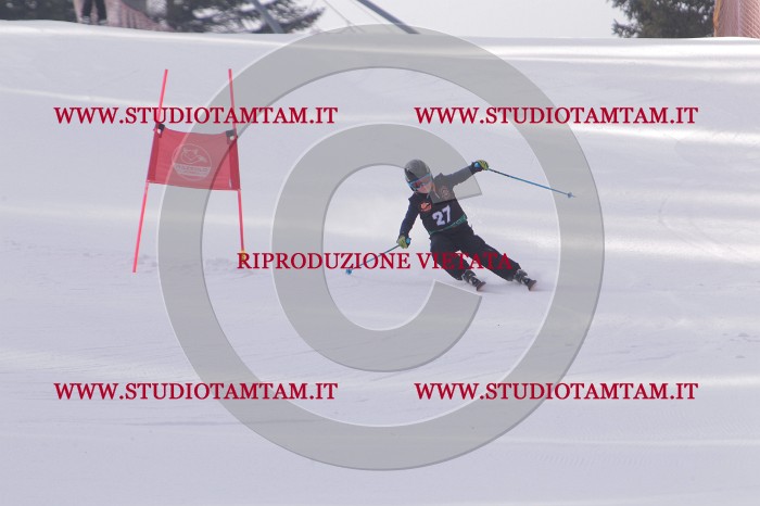 MAT_5286.JPG
