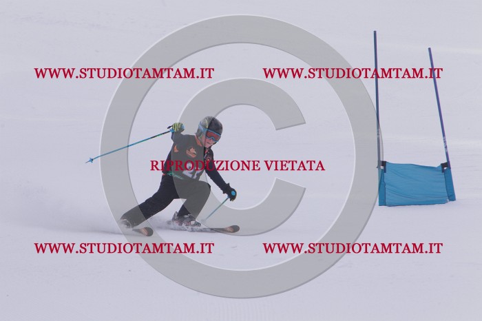 MAT_5287.JPG