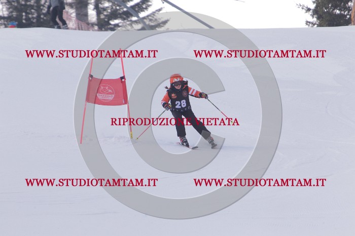 MAT_5293.JPG