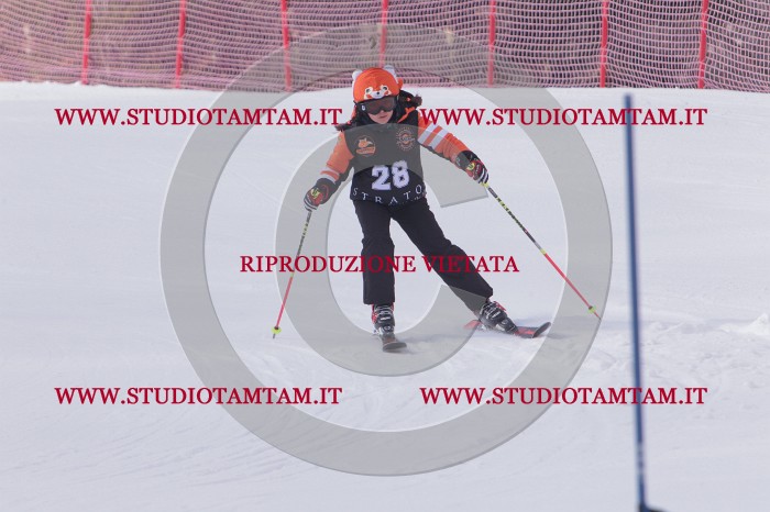 MAT_5296.JPG