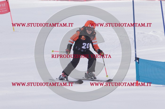 MAT_5297.JPG
