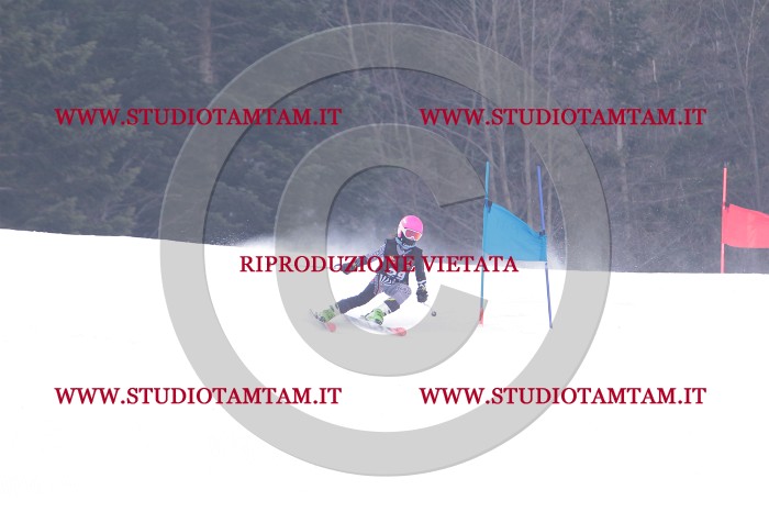 MAT_5301.JPG