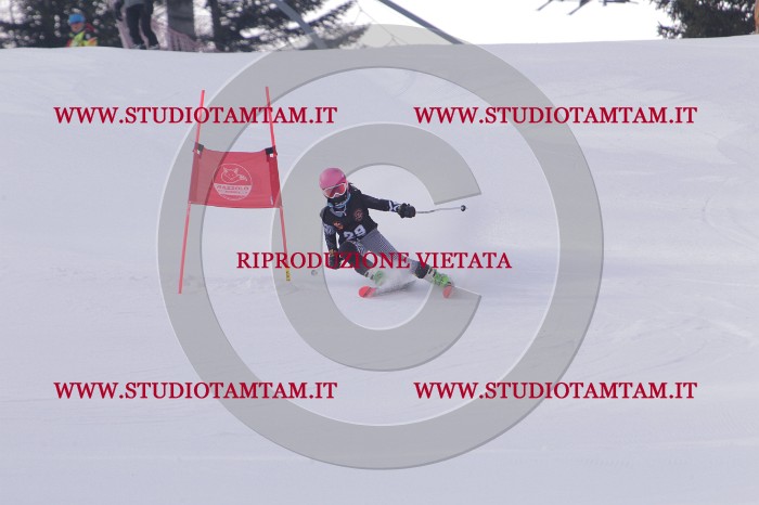 MAT_5302.JPG