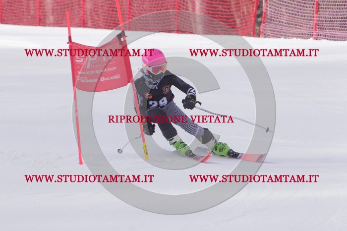 MAT_5304.JPG