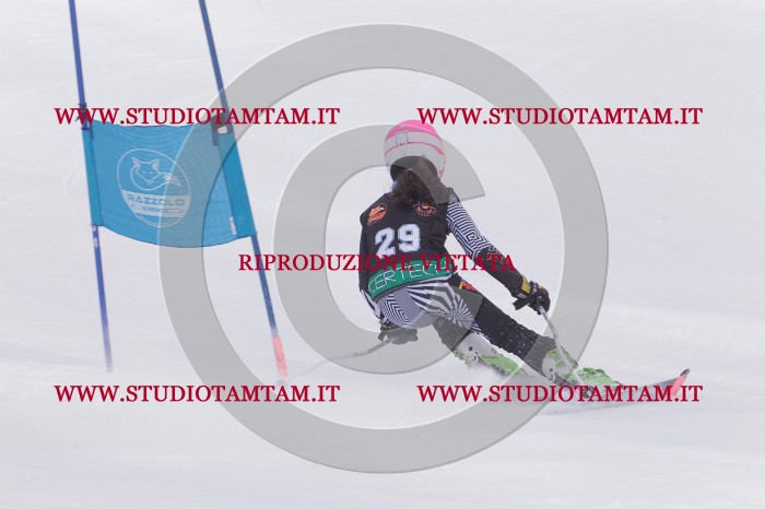 MAT_5307.JPG