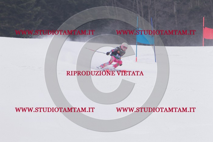 MAT_5308.JPG