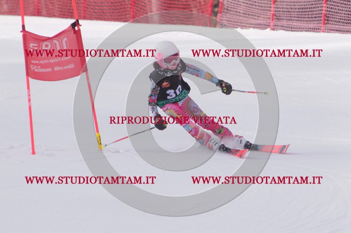MAT_5311.JPG