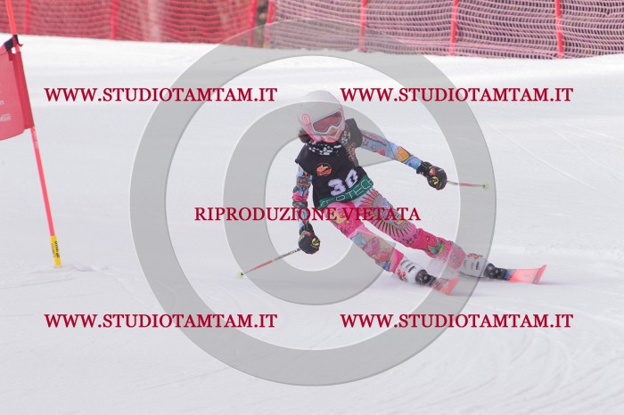 MAT_5312.JPG