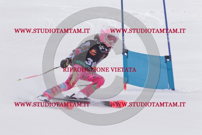 MAT_5313.JPG