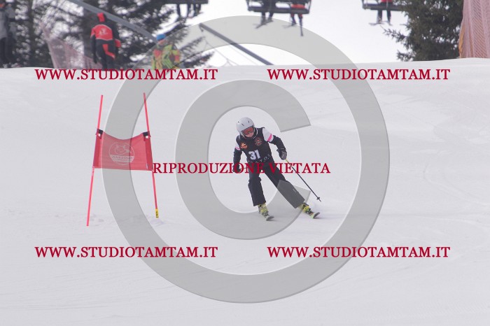 MAT_5317.JPG