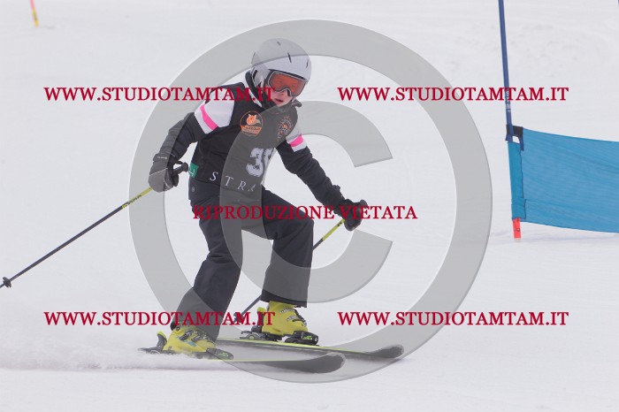 MAT_5320.JPG
