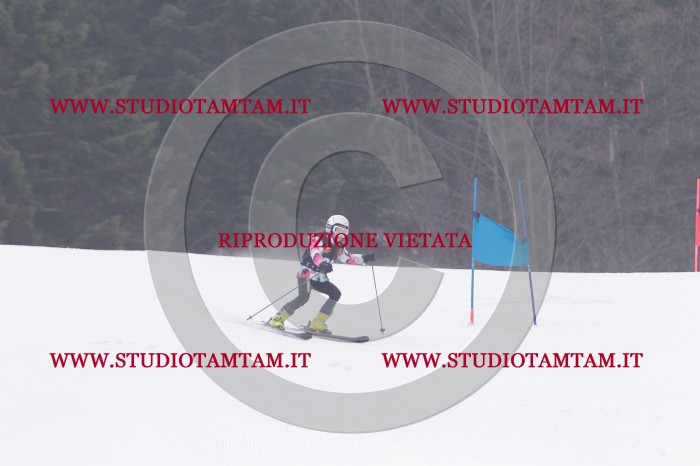 MAT_5330.JPG
