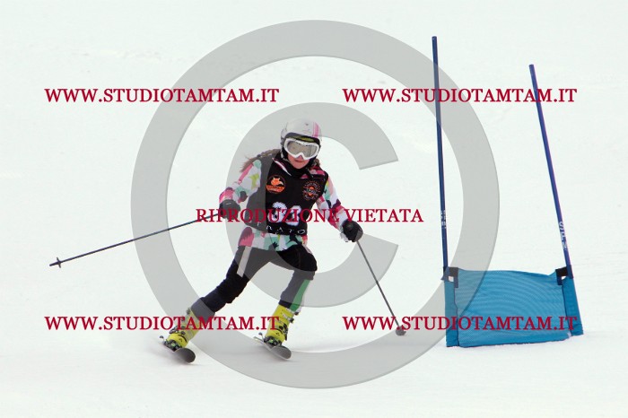 MAT_5332.JPG