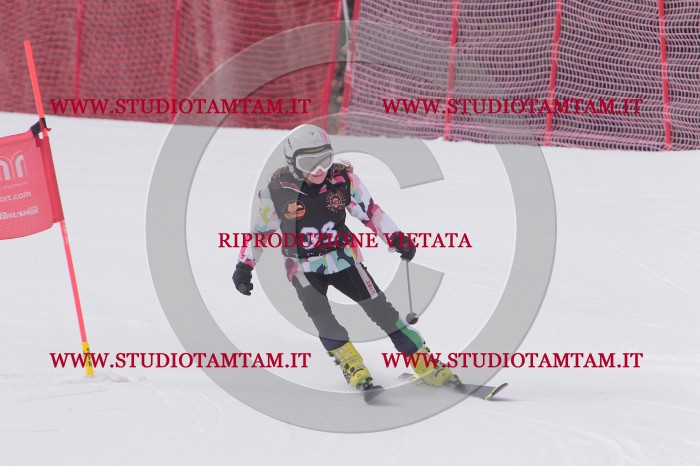 MAT_5333.JPG