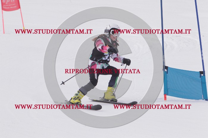 MAT_5334.JPG