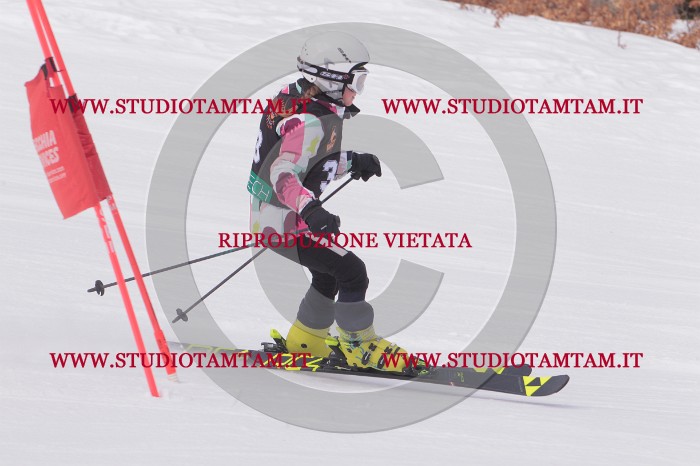 MAT_5335.JPG