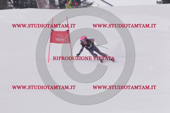 MAT_5338.JPG
