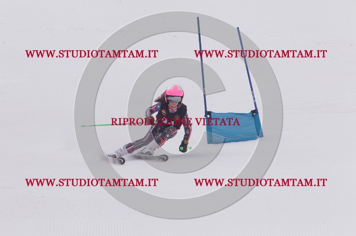 MAT_5340.JPG