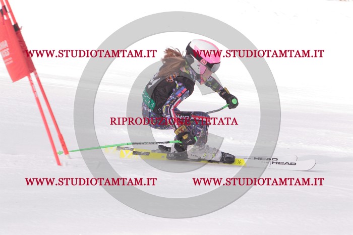 MAT_5343.JPG