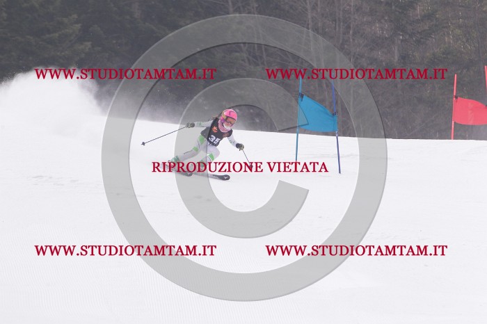 MAT_5345.JPG