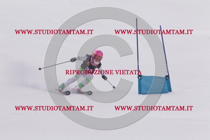 MAT_5347.JPG