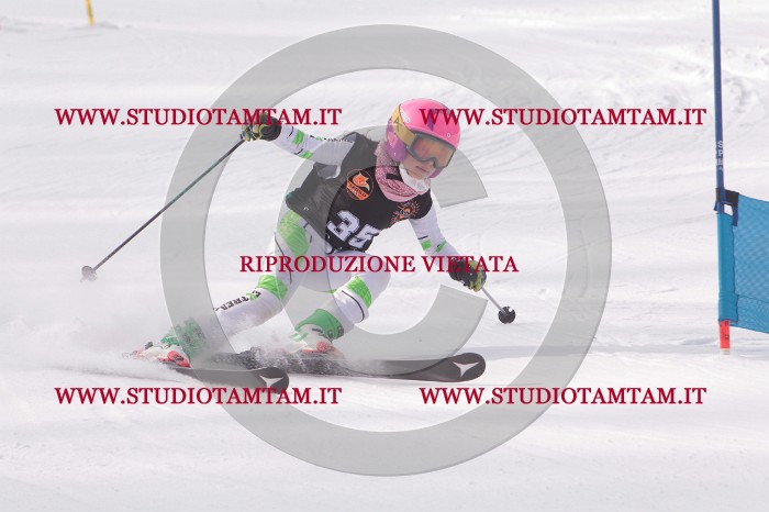 MAT_5349.JPG