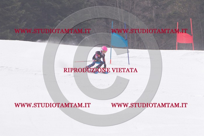 MAT_5352.JPG